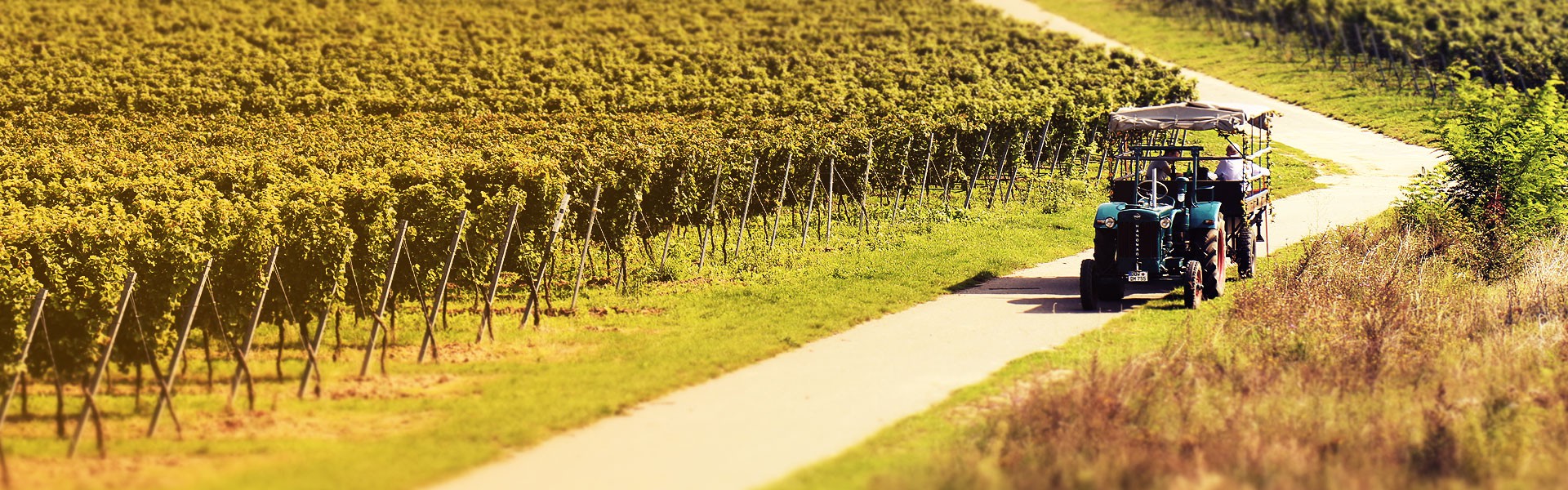 fullscreen_traktor_wingert